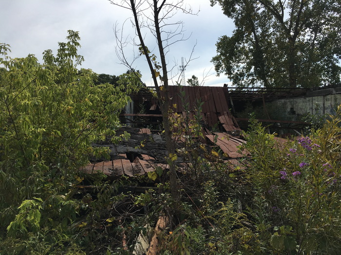 Denniston Drive-In Theatre - Oct 1 2016 Photo
